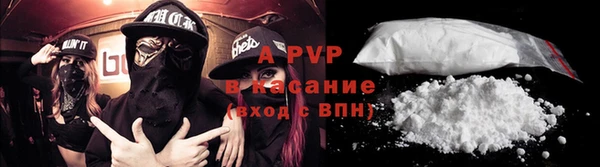 стаф Волоколамск